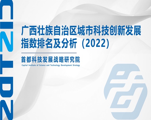 美女搞逼网站【成果发布】广西壮族自治区城市科技创新发展指数排名及分析（2022）